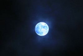 10 случајни факти кои ни случајно не ги знаете