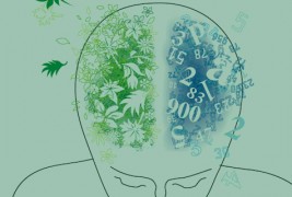 Тест: која половина од мозокот повеќе ја користите?