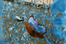 Откачени нозе