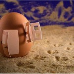 Уметнички фигури од храна