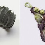 Изедете ја вашата облека за десерт