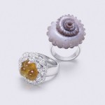 Изедете ја вашата облека за десерт