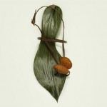 Изедете ја вашата облека за десерт