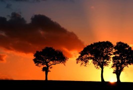 Рајски зајдисонца