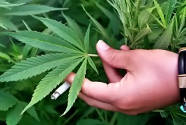 Седум необични професии од кои можете да живеете