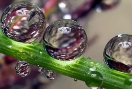 Магични дождовни капки