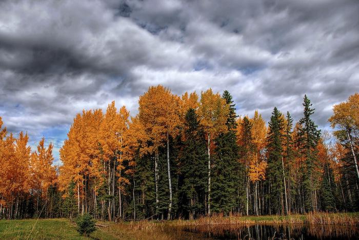 Посакајте и добредојде на есента