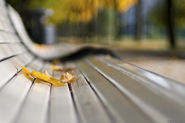 Посакајте и добредојде на есента