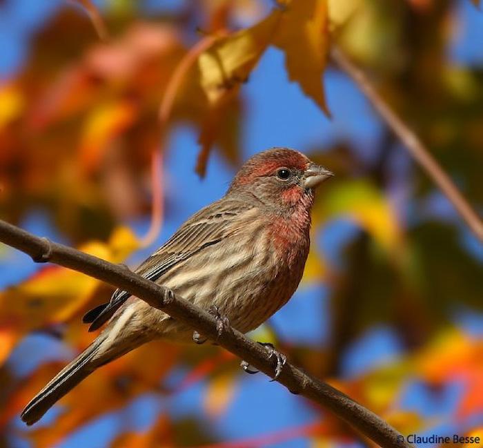 Посакајте и добредојде на есента