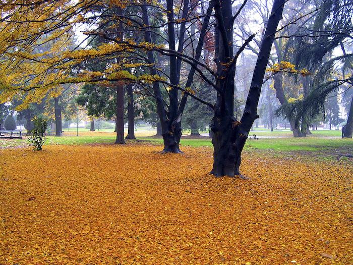 Посакајте и добредојде на есента