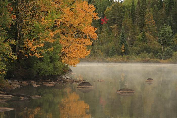 Посакајте и добредојде на есента