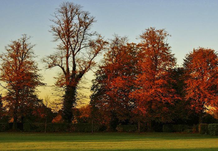 Посакајте и добредојде на есента
