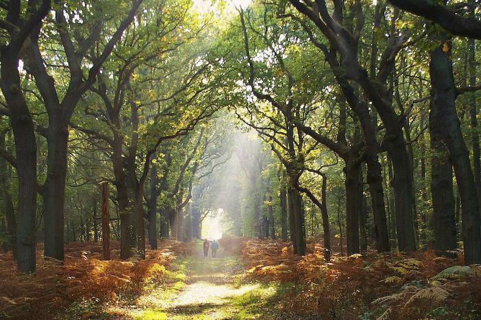 Посакајте и добредојде на есента