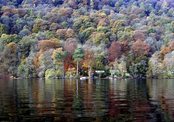 Посакајте и добредојде на есента