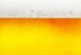 Факти и занимливости за пивото