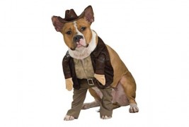 Облечете го вашето куче со стил