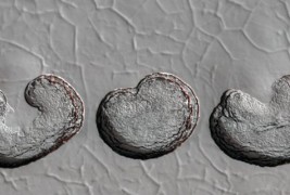 Неверојатни пејзажи од Марс