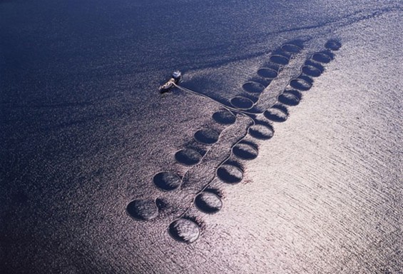 Британија од птичја перспектива