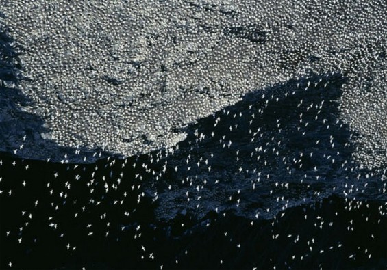 Британија од птичја перспектива