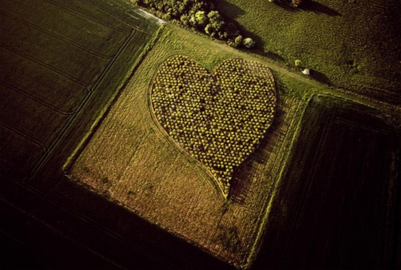 Британија од птичја перспектива