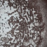 Неверојатни пејзажи од Марс