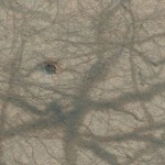 Неверојатни пејзажи од Марс