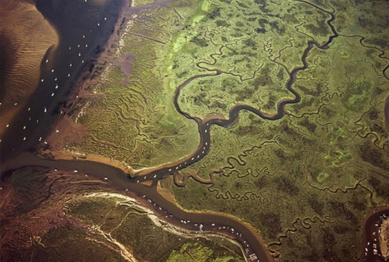 Британија од птичја перспектива
