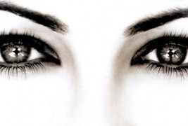 Надворешниот изглед на скорпијата