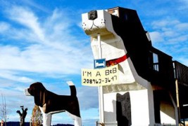 Неверојатни хотели низ светот