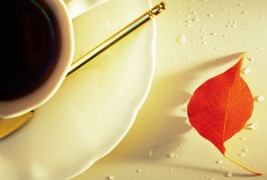 Кафе-позадина за вашиот десктоп #10