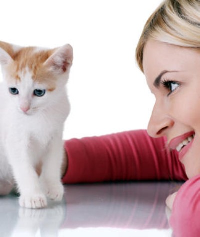 Што кажува миленичето за вашата работа?