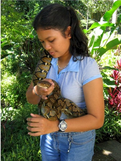 Што кажува миленичето за вашата работа?