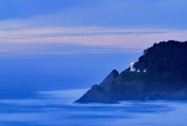 Дива и неверојатна природа