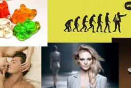 Топ 5 содржини за изминатата недела (22.11-28.11)