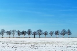 Фотографии во зима