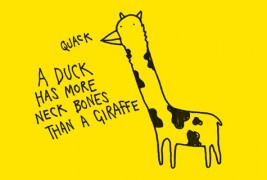 Илустрирани факти за сè и сешто