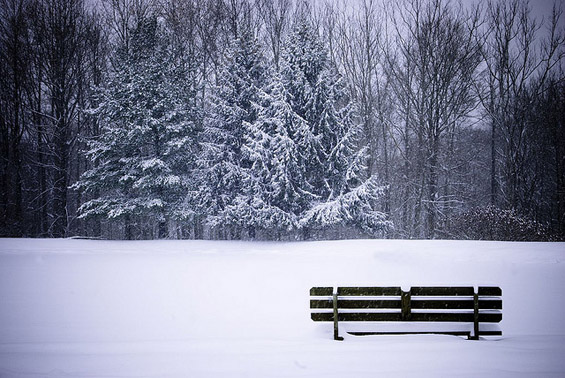 Фотографии во зима