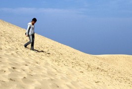 Јапонската пустина