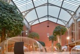 Атрактивен канцелариски дизајн со вегетациски шмек