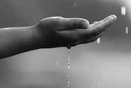 Зошто врне?