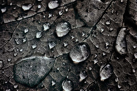 Очи широко отворени кон сонот