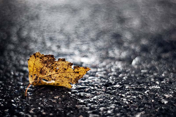 Очи широко отворени кон сонот