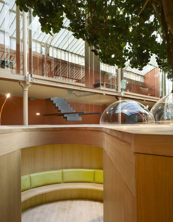Атрактивен канцелариски дизајн со вегетациски шмек