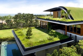 Куќата со небесната градина