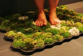 Необични еко - производи