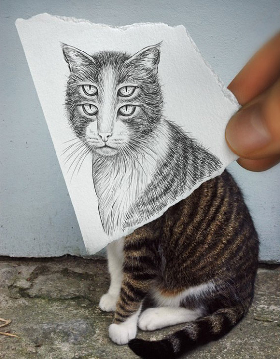 Фотографии „доцртани со молив“