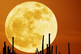 50 прекрасни фотографии од супер месечината низ светот