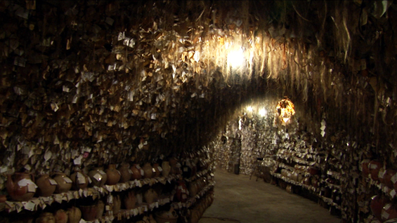 Добредојдовте во музејот за коса