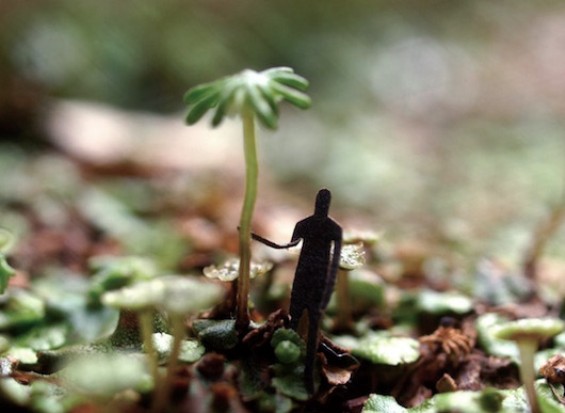 Животот низ призма на минијатури