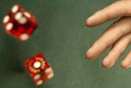 Несекојдневно хоби со зарови и чаши